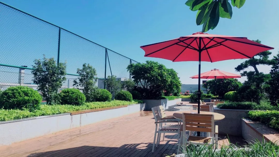 640.webp (2).jpg 640.webp (2).jpg