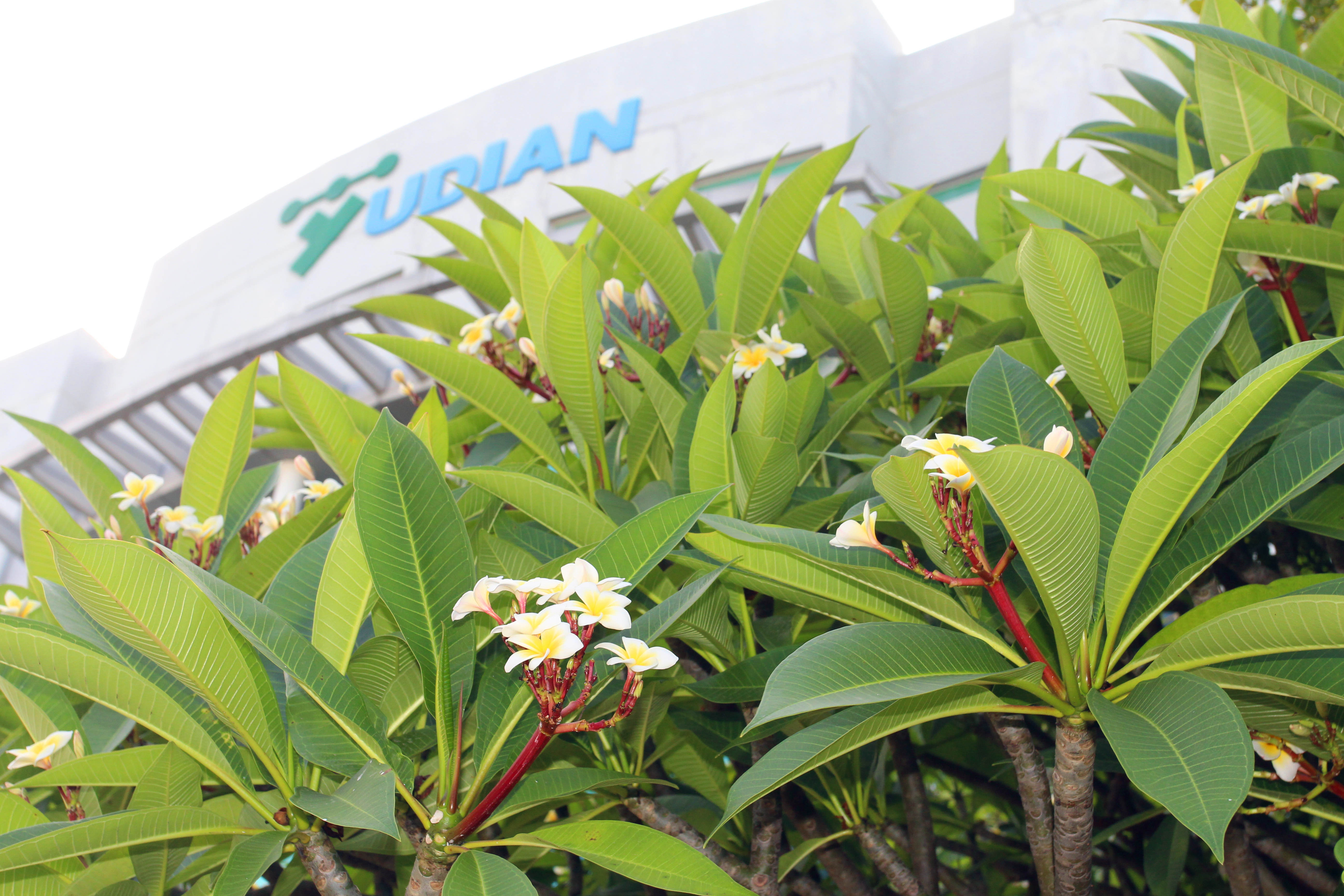 IMG_4101_副本_副本.jpg IMG_4101_副本_副本.jpg