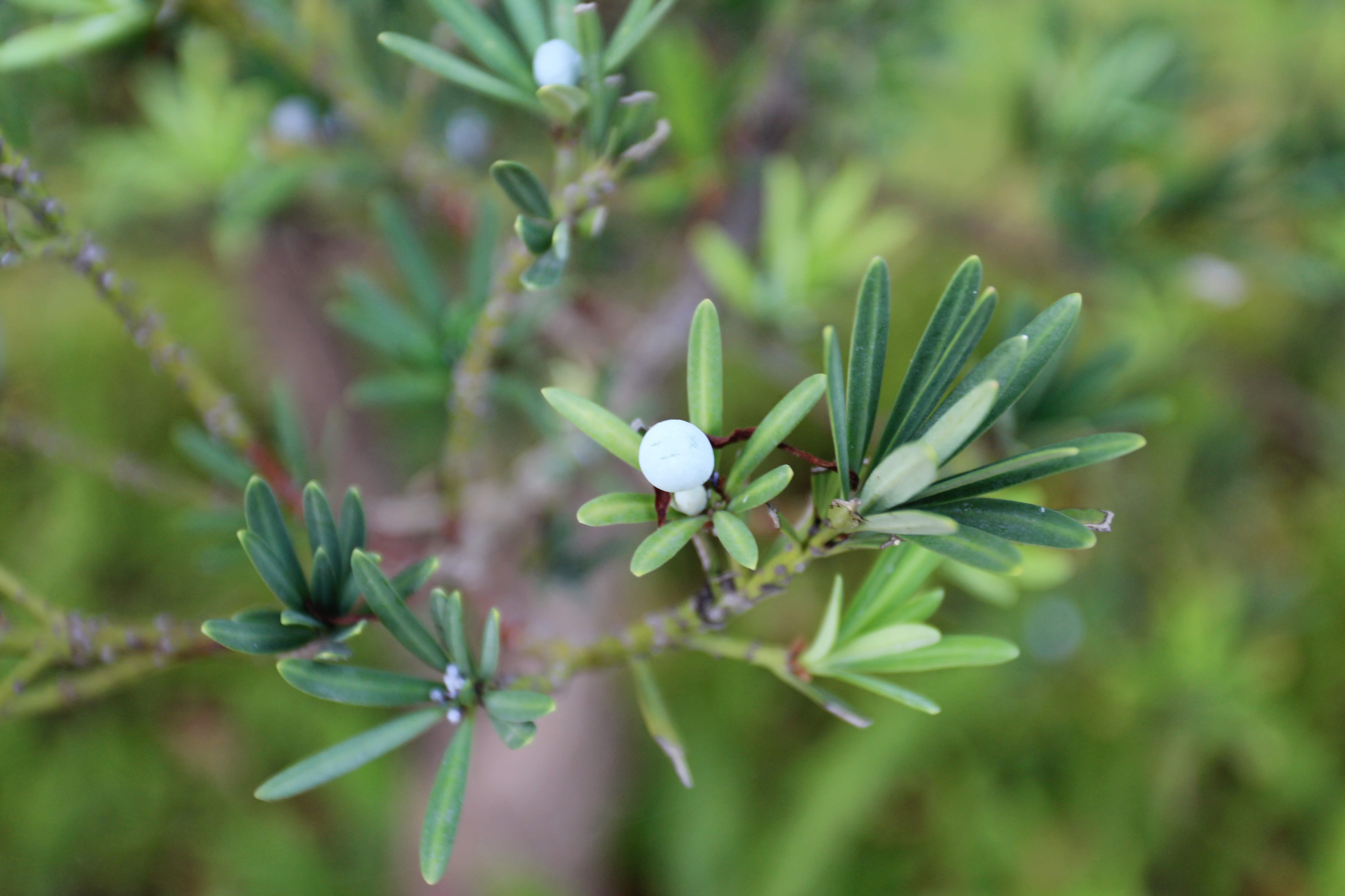 IMG_4112_副本_副本.jpg IMG_4112_副本_副本.jpg