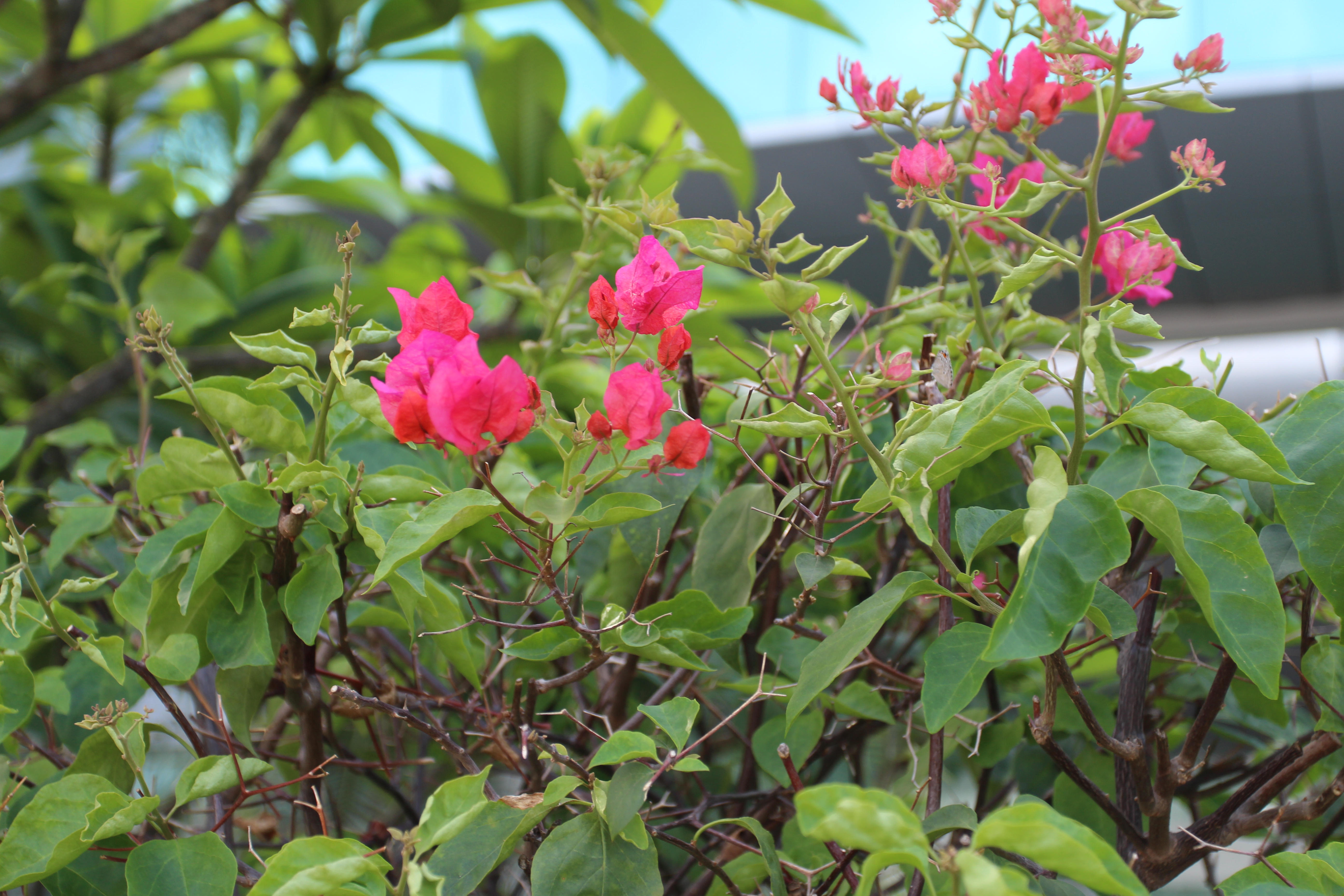 IMG_4152_副本.jpg IMG_4152_副本.jpg