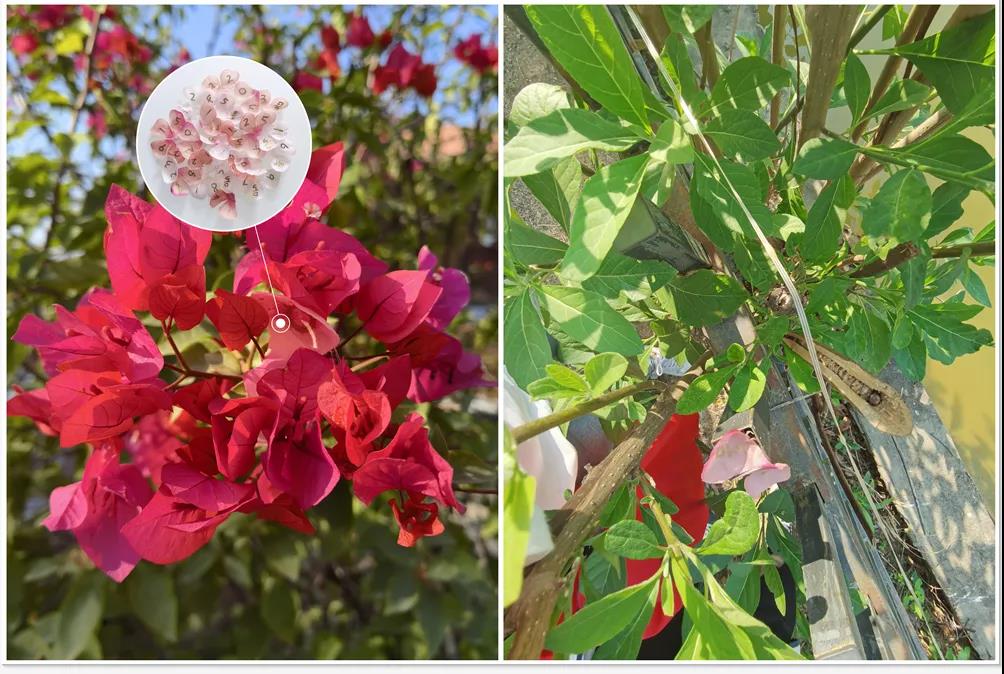 微信圖片_20211215104950.jpg 微信圖片_20211215104950.jpg